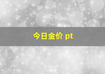 今日金价 pt